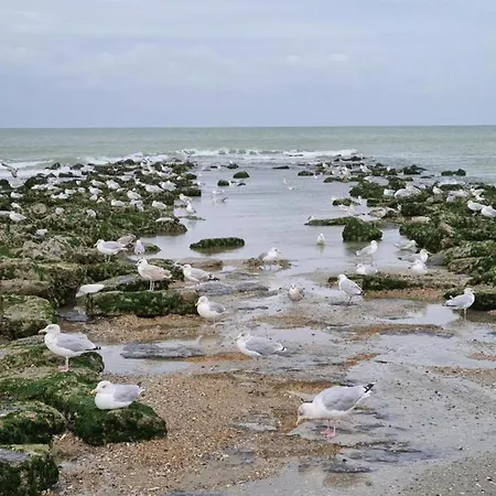 Coastal In Center, 400m From The Sea, Cleaning Included Koksijde