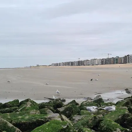 Coastal In Center, 400m From The Sea, Cleaning Included * كوكسيجدي